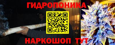 прущие грибы Кунгур