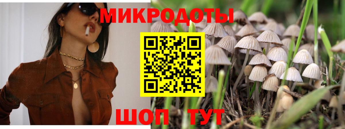 Ленинск-Кузнецкий  Псилоцибиновые грибы прущие грибы  Вход с VPN 